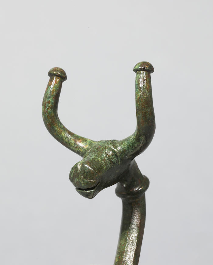 Tête de taureau 